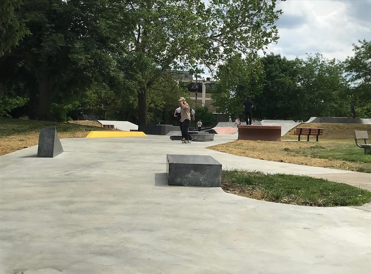 Willard skatepark